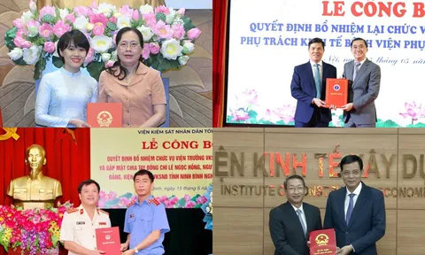 Kiện toàn Viện trưởng, Phó Vụ trưởng