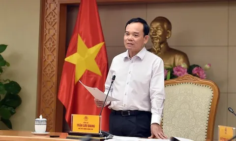 Phó Thủ tướng Trần Lưu Quang làm Chủ tịch Hội đồng thẩm định Quy hoạch Lâm nghiệp quốc gia