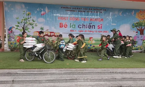 Trường Mầm non Sơn A: Hành trình xây dựng và phát triển bền vững