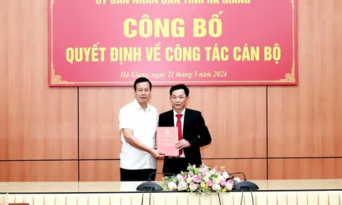 Kiện toàn nhân sự tại Hải Phòng, Hà Giang