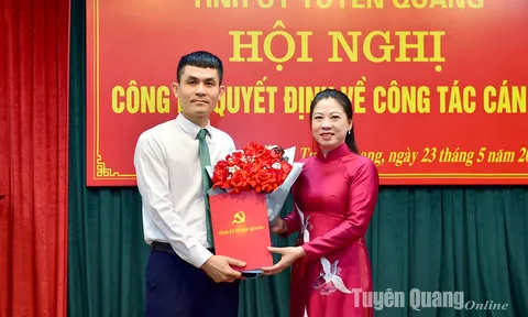 Điều động, bổ nhiệm cán bộ tại Tuyên Quang và Hà Tĩnh