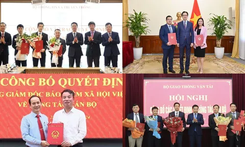 Bổ nhiệm Cục trưởng, Phó Vụ trưởng
