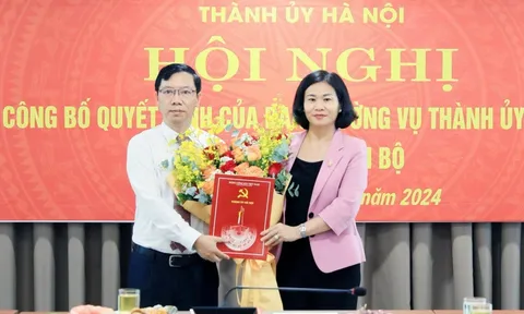 Điều động, bổ nhiệm cán bộ tại Hà Nội và Bình Định