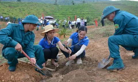 Lần đầu huyện Tuần Giáo tổ chức ngày hội trồng cây mắc ca