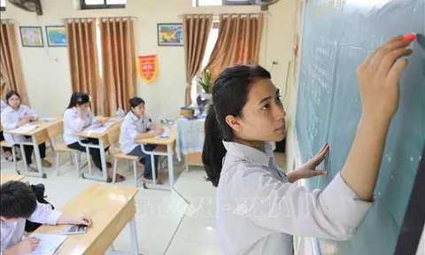 Hà Nội: 700 học sinh được tuyển thẳng lớp 10 năm học 2024 - 2025