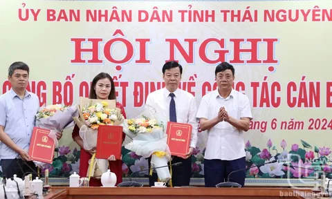 Điều động, bổ nhiệm cán bộ tại Thái Nguyên và Hà Giang