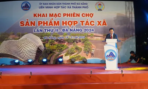 Đà Nẵng: Xúc tiến các hoạt động tiêu thụ sản phẩm cho Hợp tác xã