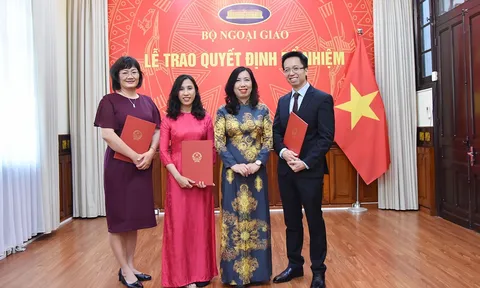 Kiện toàn nhân sự tại Bộ Ngoại giao, Thanh tra Chính phủ