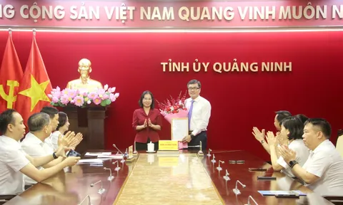 Điều động, bổ nhiệm cán bộ tại Đà Nẵng và Quảng Ninh