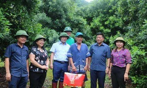 Hội đồng nhân dân tỉnh Điện Biên: Chia sẻ kinh nghiệm tiếp xúc cử tri