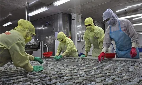 Bỏ tư duy đứng ngoài hoặc không cần phòng bị trên sân nhà
