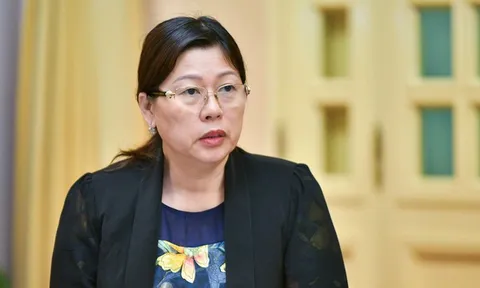 Thứ trưởng Nguyễn Thị Phương Hoa điều hành Bộ Tài nguyên và Môi trường