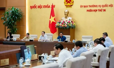 Giám sát về phát triển và sử dụng nguồn nhân lực trên phạm vi cả nước