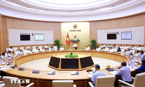 Phát triển nguồn nhân lực làm công tác tham mưu xây dựng pháp luật