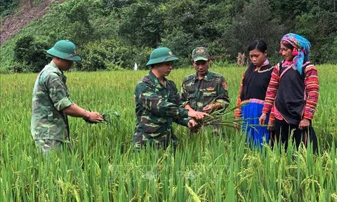 Xây dựng tiềm lực quốc phòng toàn diện thời bình, giàu sức sống và chuyển hóa năng động khi chiến tranh xảy ra (Phần 2)