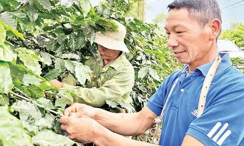 Người có uy tín ở Điện Biên thúc đẩy phát triển kinh tế, giảm nghèo