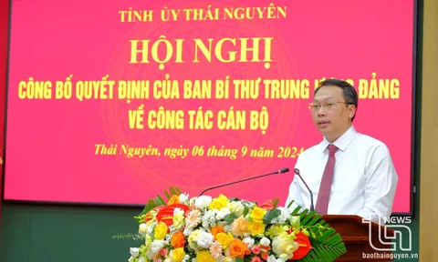 Thứ trưởng Nguyễn Huy Dũng giữ chức Phó Bí thư Tỉnh ủy Thái Nguyên