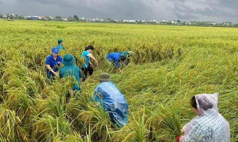 Hội liên hiệp phụ nữ Hà Nội tích cực hỗ trợ nhân dân sau bão số 3
