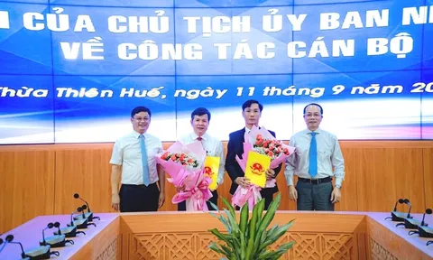 Điều động, bổ nhiệm cán bộ tại Bà Rịa - Vũng Tàu và Thừa Thiên Huế