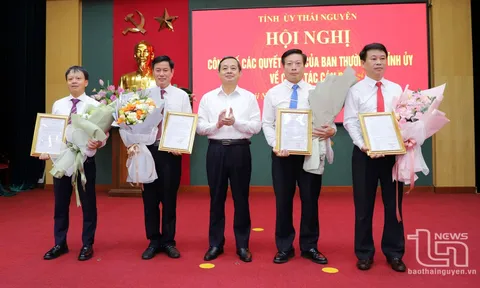 Kiện toàn cán bộ tại Thái Nguyên, Hà Giang