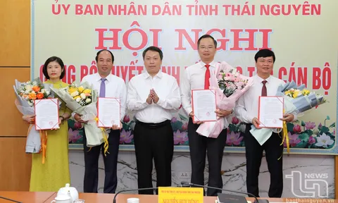 Điều động, kiện toàn nhân sự mới tại Thái Nguyên và Nam Định