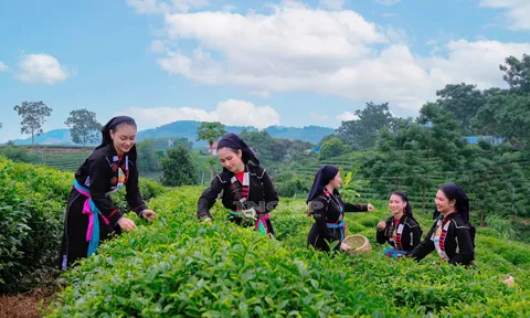 Phú Lương – Thái Nguyên: Củng cố an sinh xã hội từ công tác đào tạo nghề, giải quyết việc làm