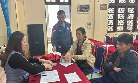Hỗ trợ kinh phí cho nông dân tham gia dự án vùng trồng rau chuyên canh ở Lào Cai