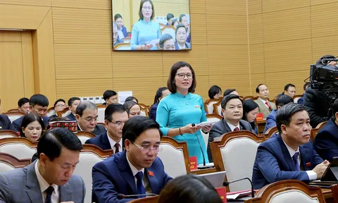 Kỳ họp thứ 21 HĐND tỉnh Yên Bái Chất vấn nhiều vấn đề cử tri quan tâm
