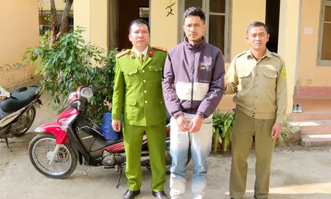 Điện Biên: Bắt đối tượng trộm cắp xe máy của cán bộ ngân hàng