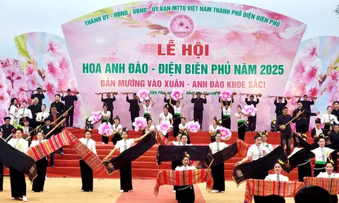 Điện Biên rực rỡ sắc xuân tại Lễ hội Hoa Anh Đào 2025