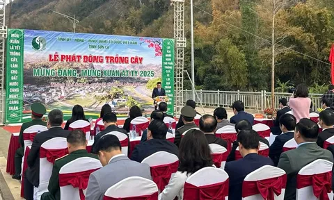 Sơn La: Phấn đấu trồng 14,2 triệu cây xanh