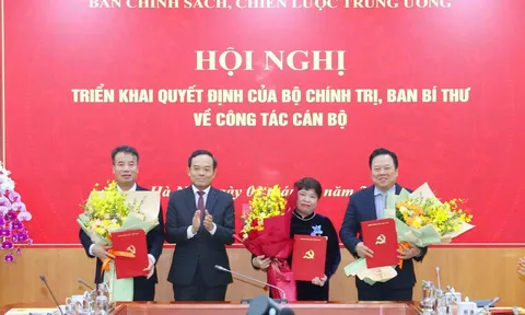 Bổ nhiệm 3 Phó trưởng Ban Chính sách, chiến lược Trung ương