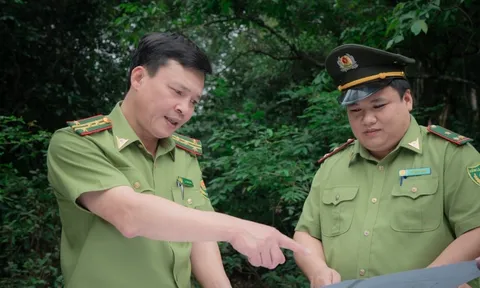 Thái Nguyên: Phát huy hiệu quả Quỹ Bảo vệ và Phát triển rừng cho các mục tiêu bền vững