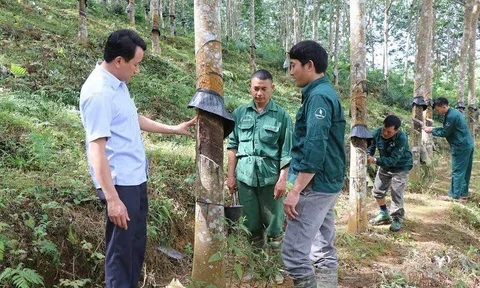 Điện Biên: Gieo mầm Đảng trong đội ngũ công nhân dân tộc thiểu số