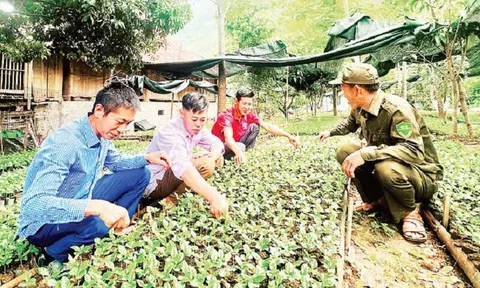 Từ người trồng cây thành người ươm mầm đổi thay