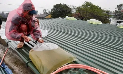 Bão Wipha đang di chuyển nhanh, người dân cần làm gì để đảm bảo an toàn?