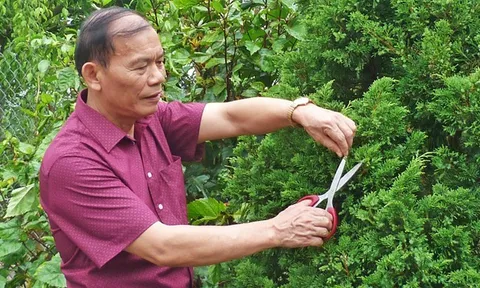 Cựu chiến binh – doanh nhân Nguyễn Hữu Hoạch phát triển kinh tế sinh thái Tuyên Quang