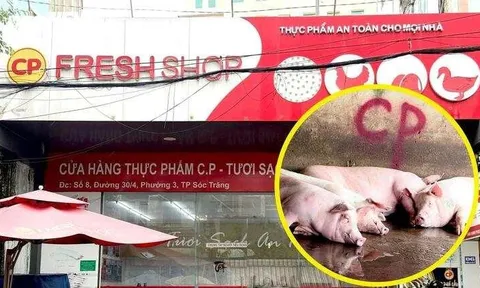 Người tố Công ty C.P. Việt Nam bán thịt heo bệnh bị triệu tập
