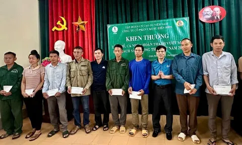 Điện Biên: 89 cá nhân, tập thể công nhân cao-su được khen thưởng đột xuất