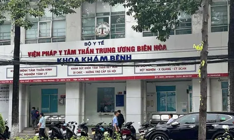 “Phù phép” tội phạm ma túy, giết người thành bệnh nhân tâm thần: Khi lỗ hổng pháp luật bị lợi dụng