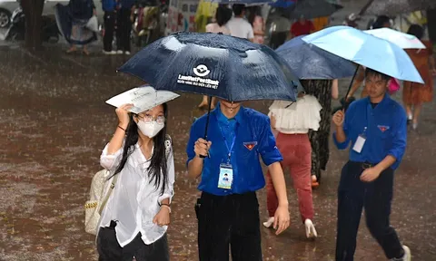 Hà Nội lên phương án cho học sinh nghỉ học và làm việc từ xa ứng phó bão số 11