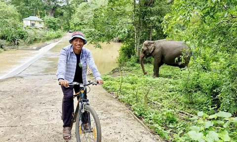 Chàng trai M’nông nghỉ việc Nhà nước, về buôn làng phát triển du lịch với bà con