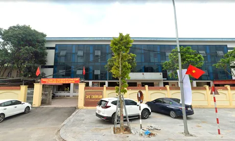 Chi cục Kiểm lâm Nghệ An bị yêu cầu kiểm điểm vì lãnh đạo "bỏ họp"