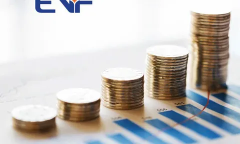 EVF: CIR thấp kỷ lục, chuyển đổi số toàn diện nâng tầm hiệu quả