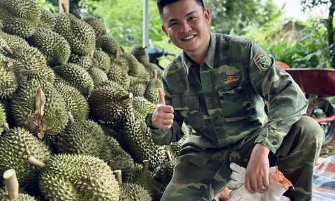 Trí thức trẻ người Tày bỏ phố về quê và những mùa quả ngọt
