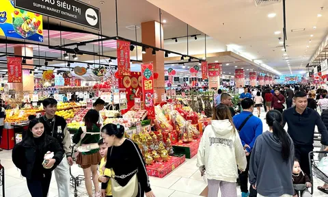 Phát triển thị trường trong nước từ quan điểm của Hiệp hội Phát triển hàng tiêu dùng Việt Nam