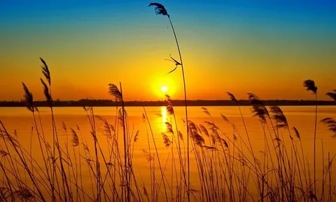 Vũ Đức Phúc – người giữ lửa phê bình văn học suốt hơn nửa thế kỷ (Phần 3 và hết)