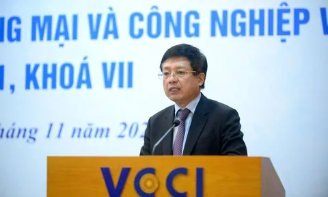 Phó Giáo sư 57 tuổi làm Chủ tịch VCCI