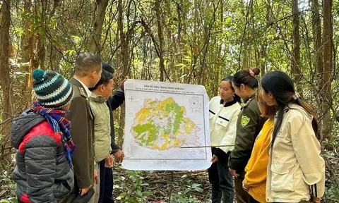 Chính sách chi trả dịch vụ môi trường rừng giúp người dân Tây Bắc nâng cao thu nhập