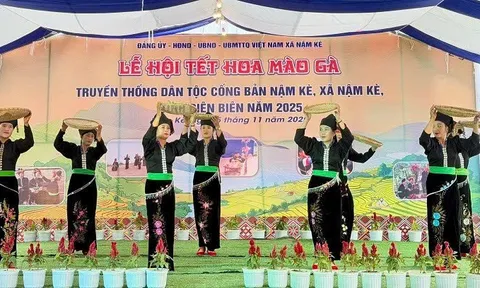 Rộn ràng Lễ hội Tết hoa mào gà của đồng bào dân tộc Cống ở Nậm Kè